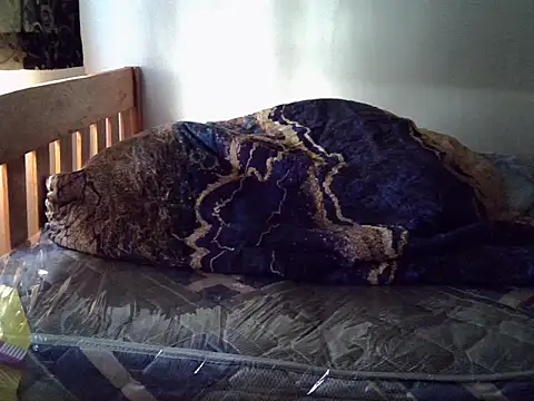 Vivibabe6 webcam