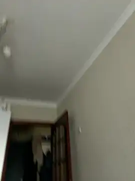 Frosl webcam