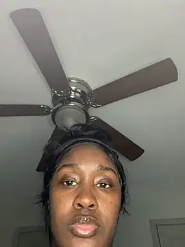 ToyaThick webcam