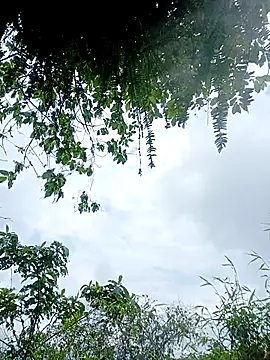 YeuAnhbigcock webcam