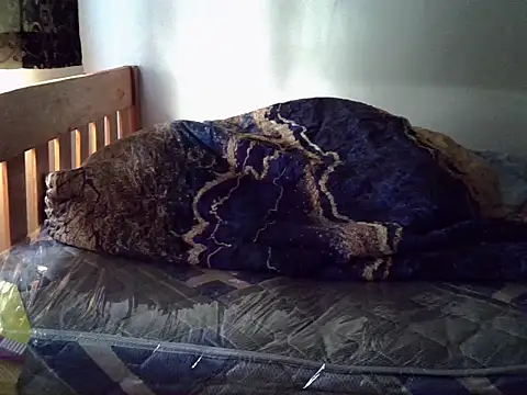 Vivibabe6 webcam