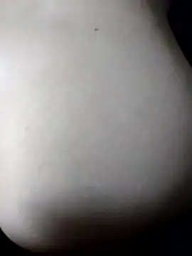 InnaLion webcam
