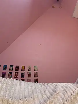 Rinamay_ webcam