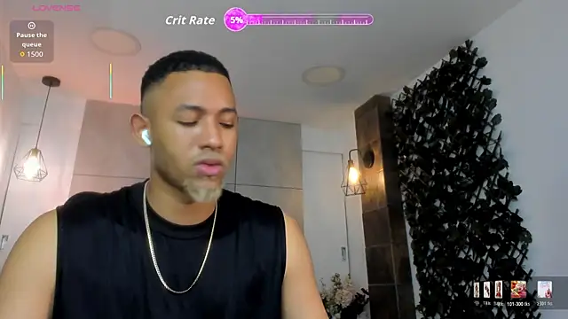 B_Wild webcam