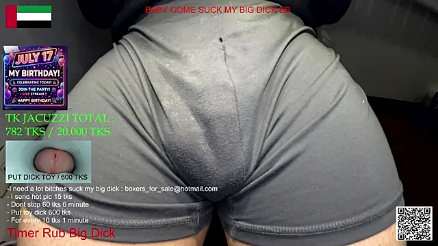 bfs266 webcam