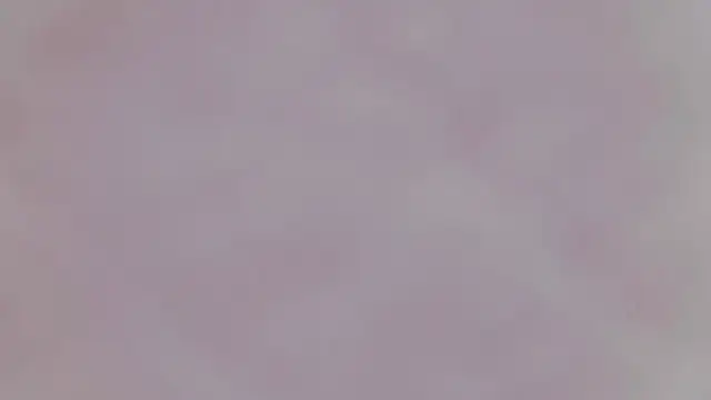 yang_12 webcam