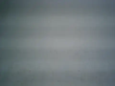 michel1520 webcam