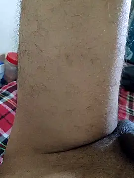 hotbull30 webcam