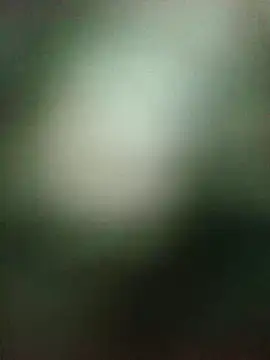 Villageanuty webcam