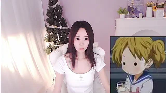 hall-33 webcam