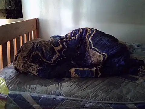 Vivibabe6 webcam