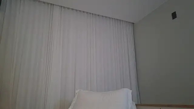 upssnowy webcam