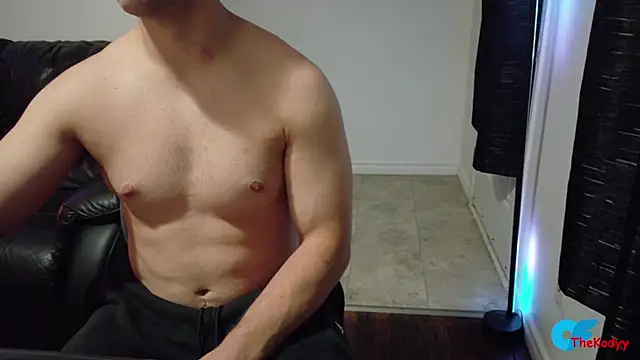Thekodyy webcam