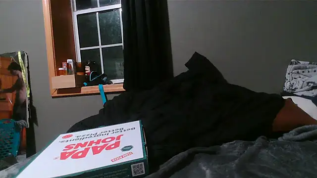 cw1ss webcam