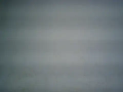 michel1520 webcam