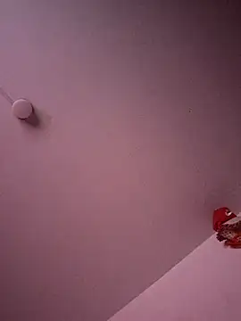ElevergonP webcam