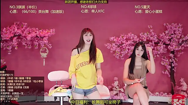 DY-001 webcam