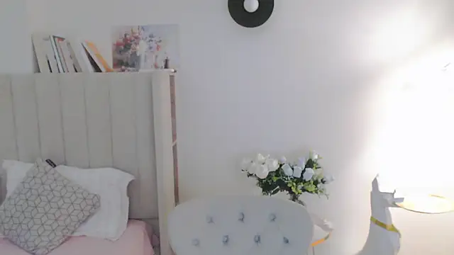 VeliaSai webcam