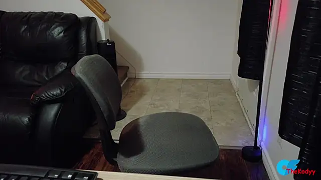 Thekodyy webcam