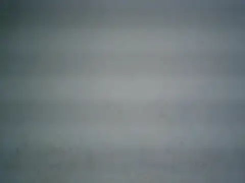 michel1520 webcam
