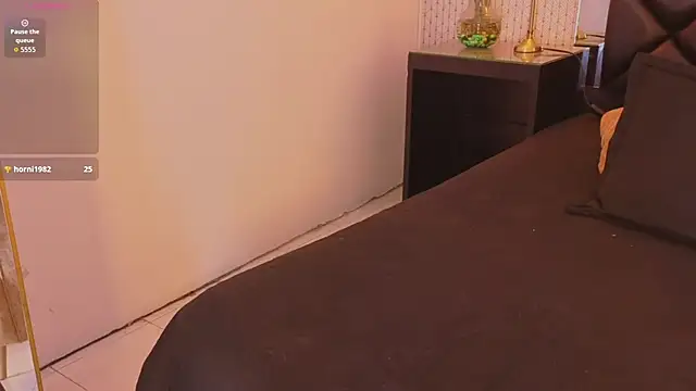 ryo_light webcam