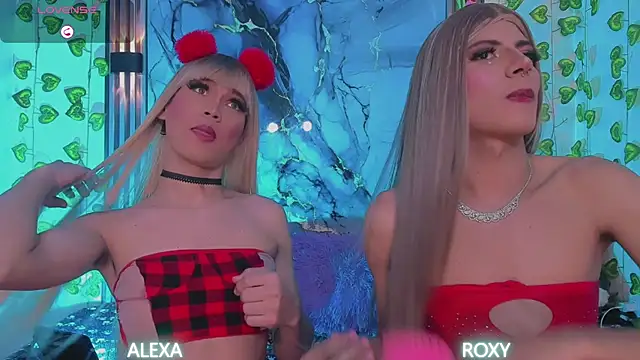 Roxy_alexa webcam