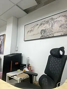Cunzhangshibage02 webcam