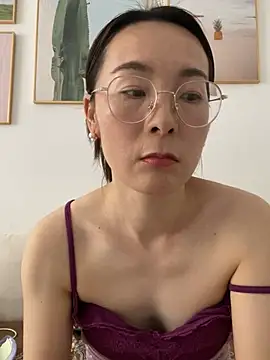 you-520 webcam
