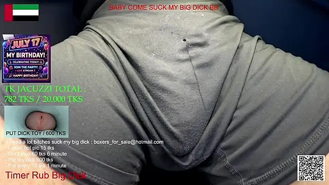 bfs266 webcam