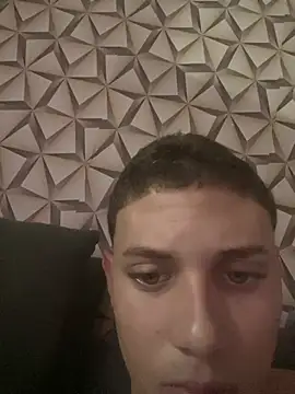 9vinsfd1 webcam