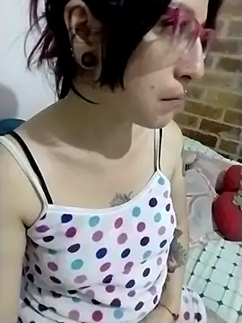 _Alaskamisa webcam