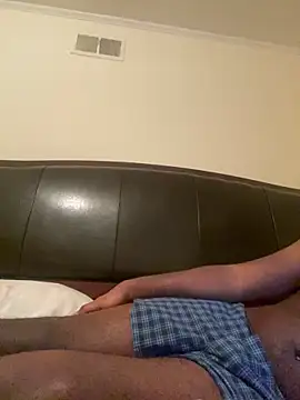 ThickDic28 webcam
