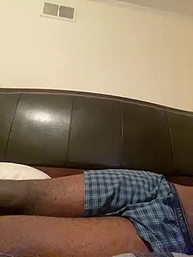 ThickDic28 webcam