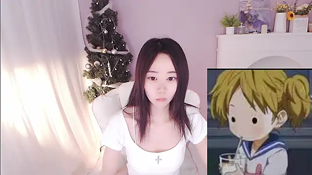 hall-33 webcam