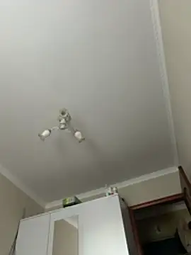 Frosl webcam
