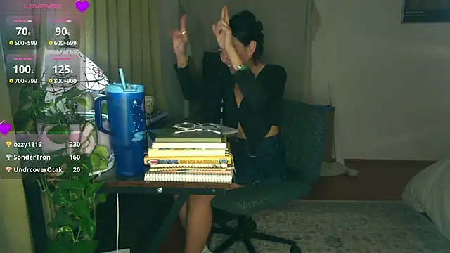 yuzhara webcam