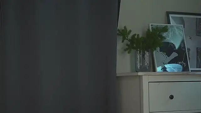 akumadadrive webcam