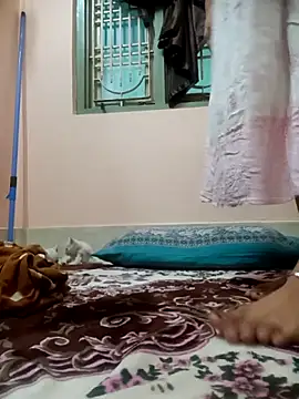 Hansikatelugu webcam