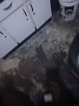 BunkedDruthers webcam