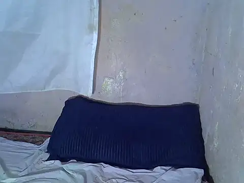 tashlin webcam