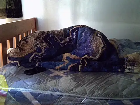 Vivibabe6 webcam