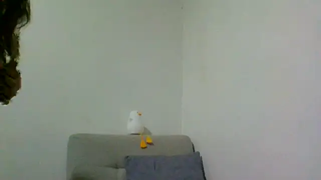 katherodriguezx webcam