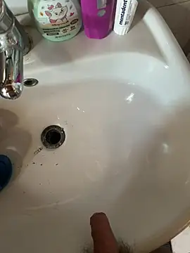 panda_206 webcam