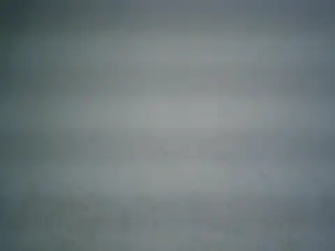 michel1520 webcam