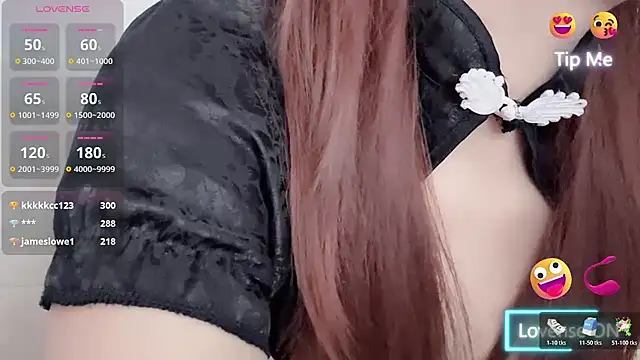 Amireux-8 webcam