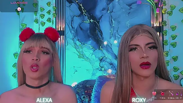 Roxy_alexa webcam