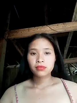 Liss-mimi webcam