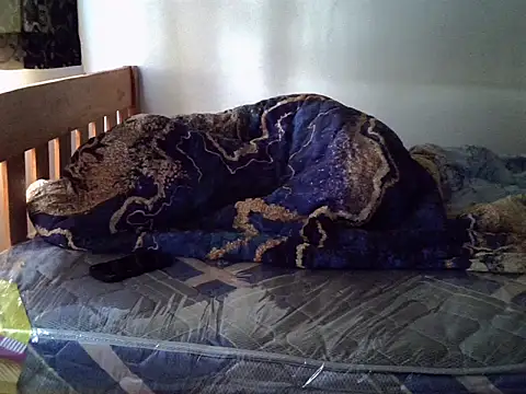Vivibabe6 webcam