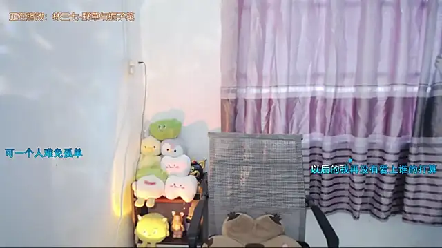 Fan_ting webcam