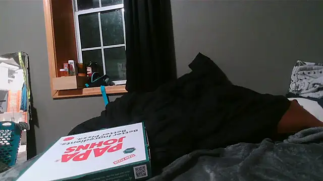 cw1ss webcam